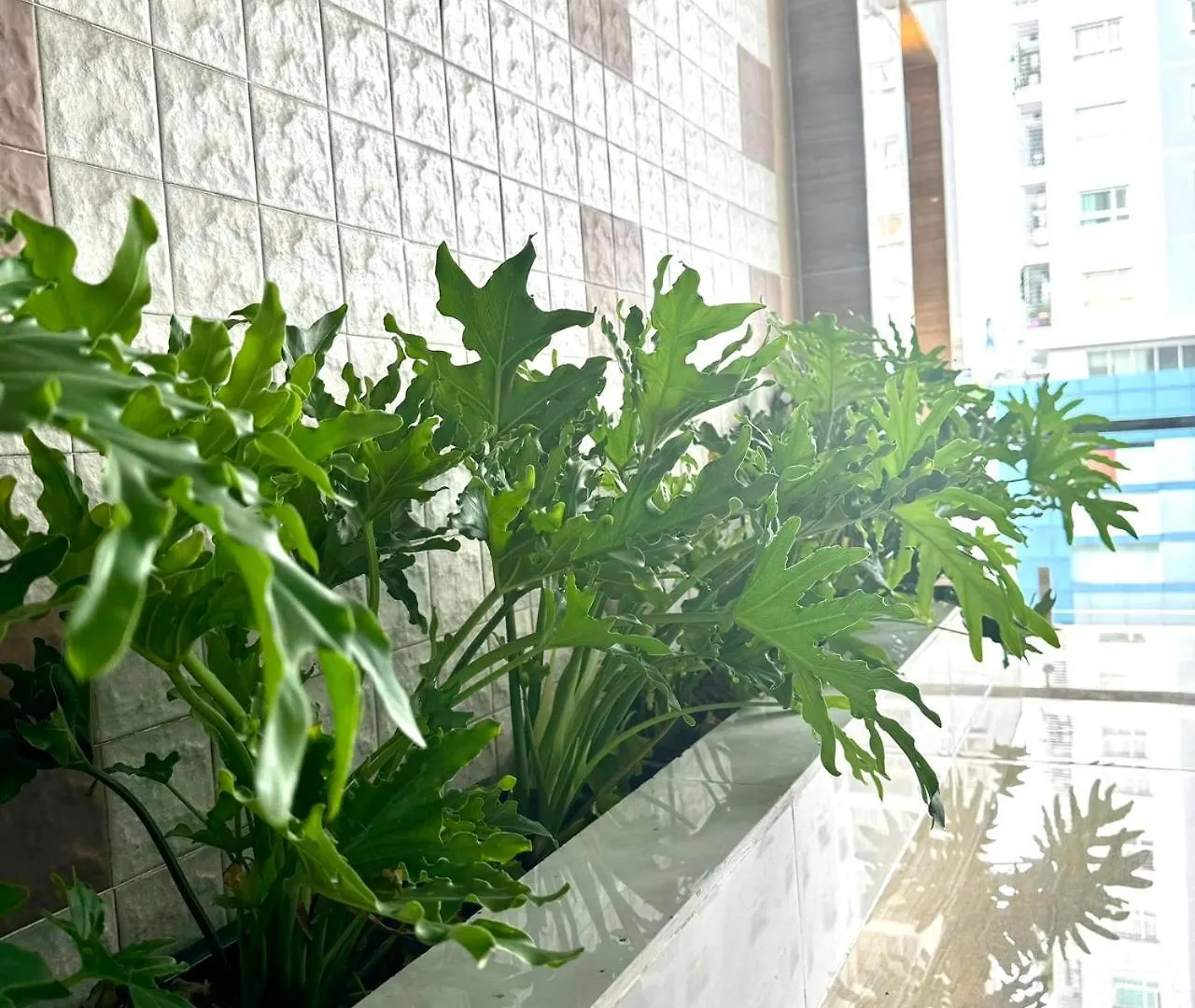 Cozy Room With Balcony Central 10Mins To Airport Maihouse Ho Chi Minh City Vietnam
