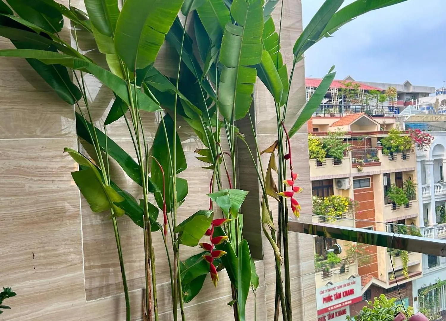 Guest house Cozy Room With Balcony Central 10Mins To Airport Maihouse Ho Chi Minh City Vietnam